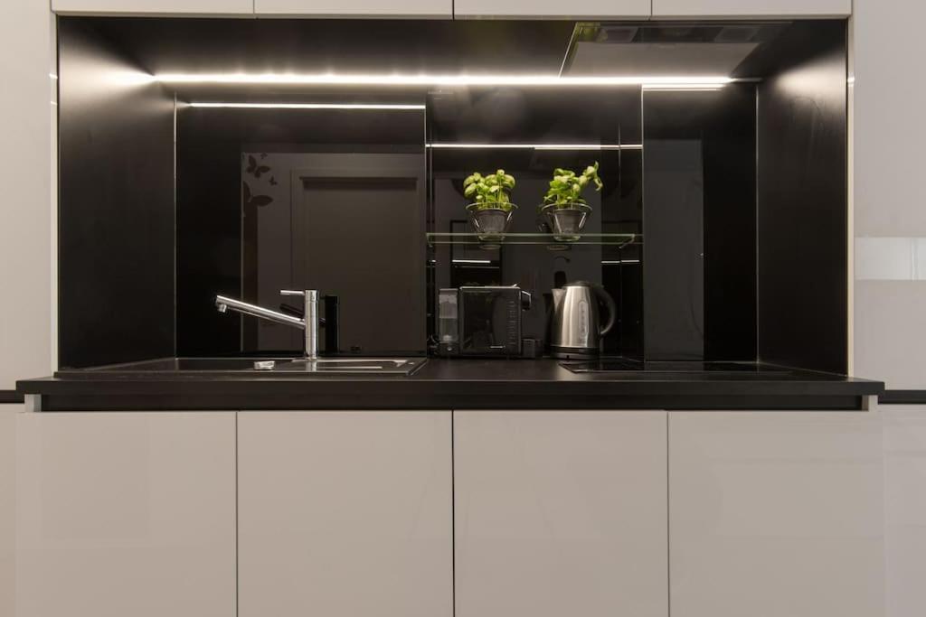 Gorgeous Central Flat With Garage Liubliana Exterior foto