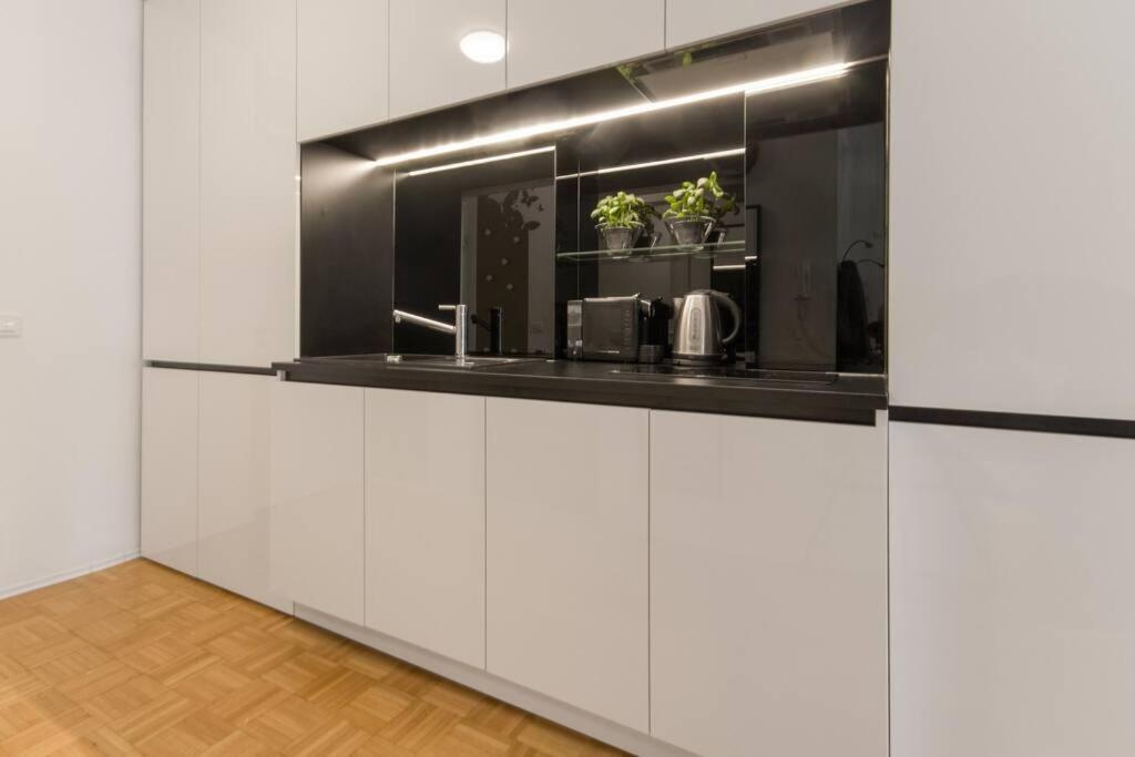 Gorgeous Central Flat With Garage Liubliana Exterior foto